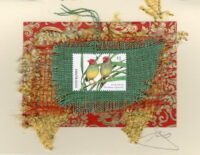 Star Finch (Australia) Card