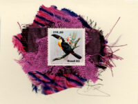 Toucan (Brazil) Card