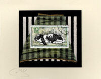 Black & White Rabbit (DDR/Germany) Card