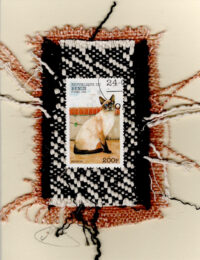 Siamese Cat (Benin) Card