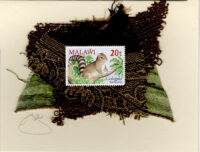 Sun Squirrel (Malawi) Card