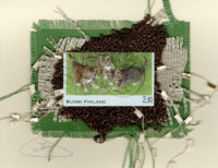 Three Cute Kittens (Finland) Card