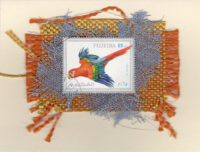 Rainbow Macaw (Fujeira) Card